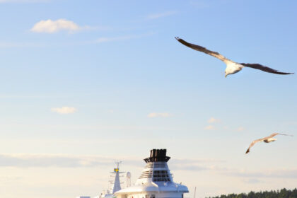 Faites le tour du monde en croisière : un rêve accessible
