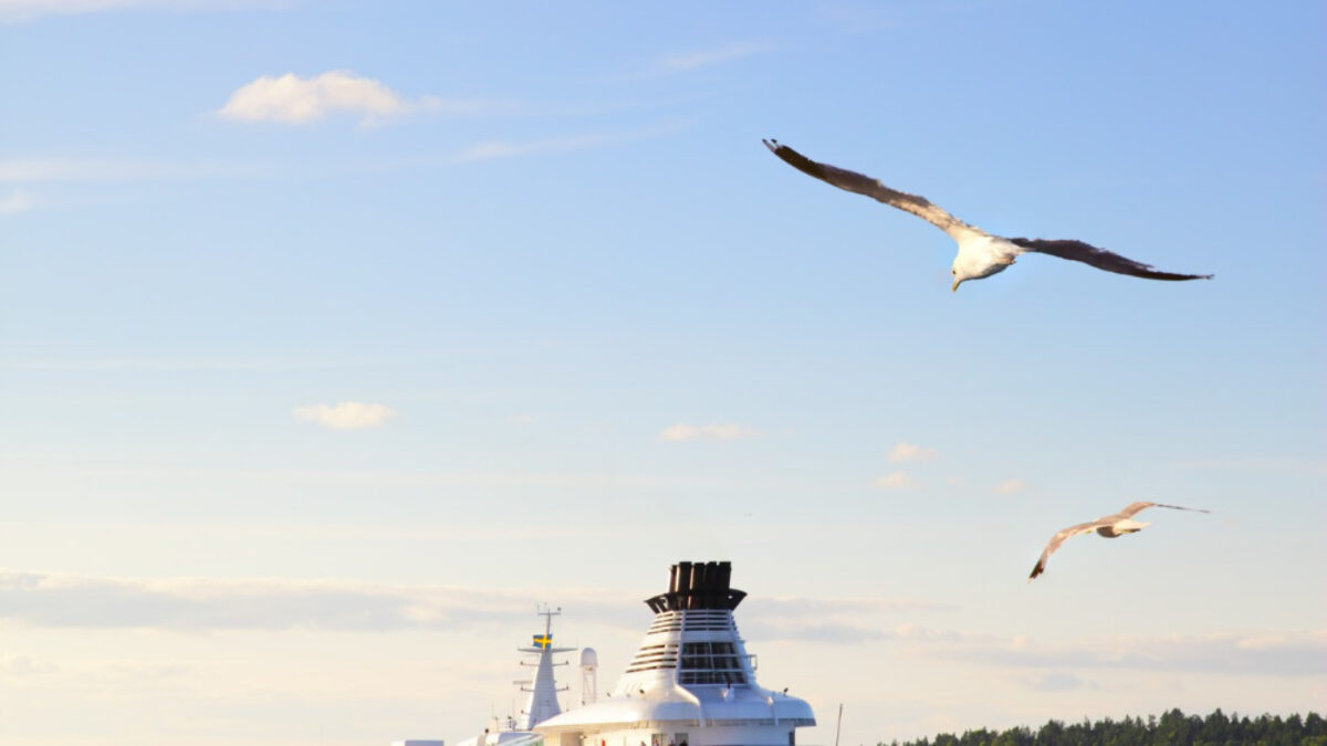 Faites le tour du monde en croisière : un rêve accessible